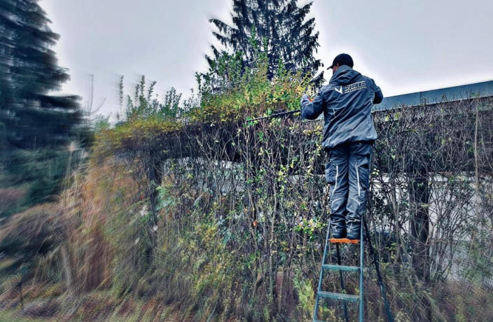 Beispielarbeit von Stems Gebäudeservice GmbH  - veröffentlicht auf Gartenbau.org